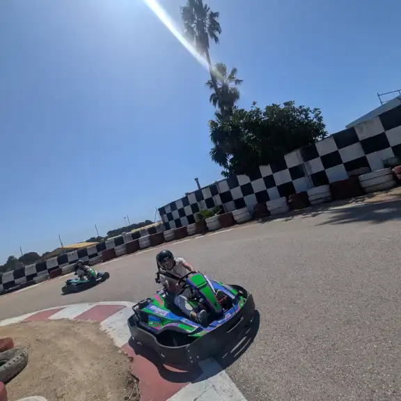 Karts en línea